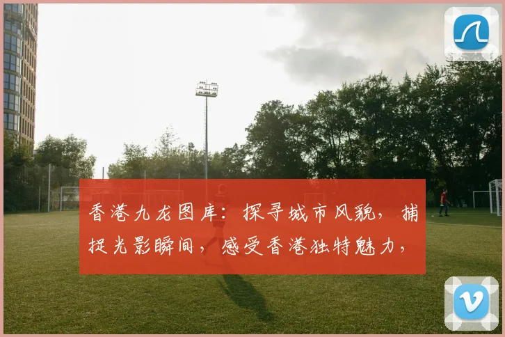 香港九龙图库：探寻城市风貌，捕捉光影瞬间，感受香港独特魅力，不容错过