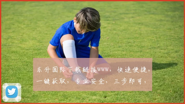 东升国际下载链接www，快速便捷，一键获取，专业安全，三步即可，不容错过，推荐必看